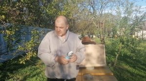 Лечим расплод. Апизоль СПАСЕНИЕ!!!