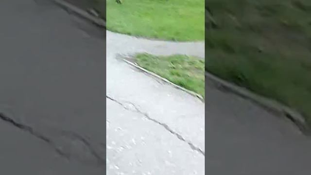 Часть 2 Двоишник Ваня не может отобрать у нас его шапку 🤣 смотреть онлайн