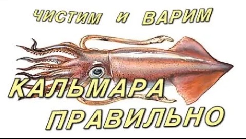 Кальмар чистим и варим правильно _ How To Clean And Cook Squid Properly