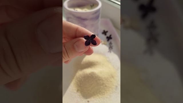 Пробую стабилизировать цветы в манке, первые сухоцветы сирень, для свечей декор смотреть онлайн