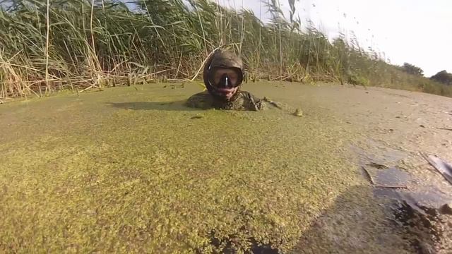 Ныряем в болоте смотреть онлайн