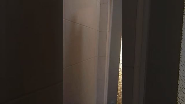 Багира в Канаке, 2-х комн. номер смотреть онлайн
