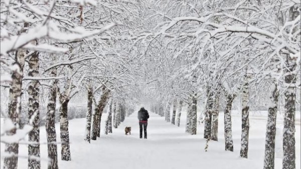 Джанго - Снег