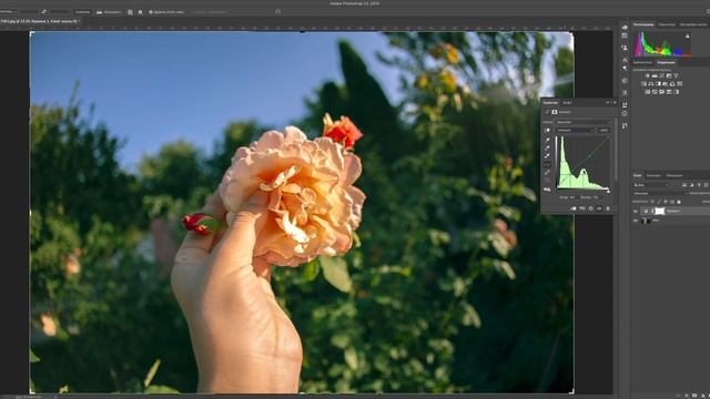 Photoshop урок №3 Цветокоррекция с помощью кривых смотреть онлайн