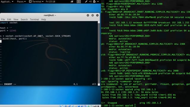 Basic socket programming in python смотреть онлайн