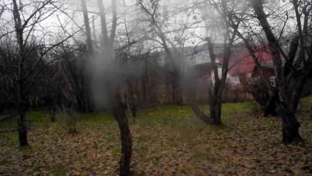 Осень моя златорунная... смотреть онлайн