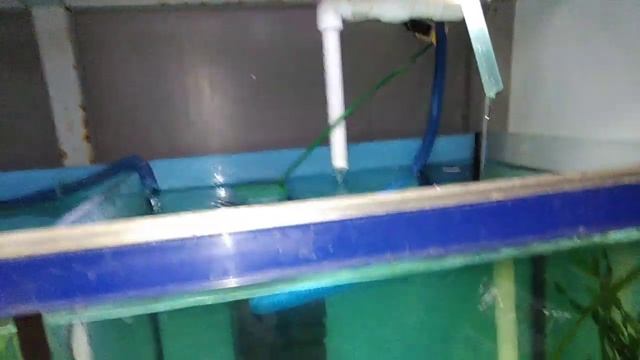 Аквариум Донецк рыбки фильтр самоделки Ростов смотреть онлайн