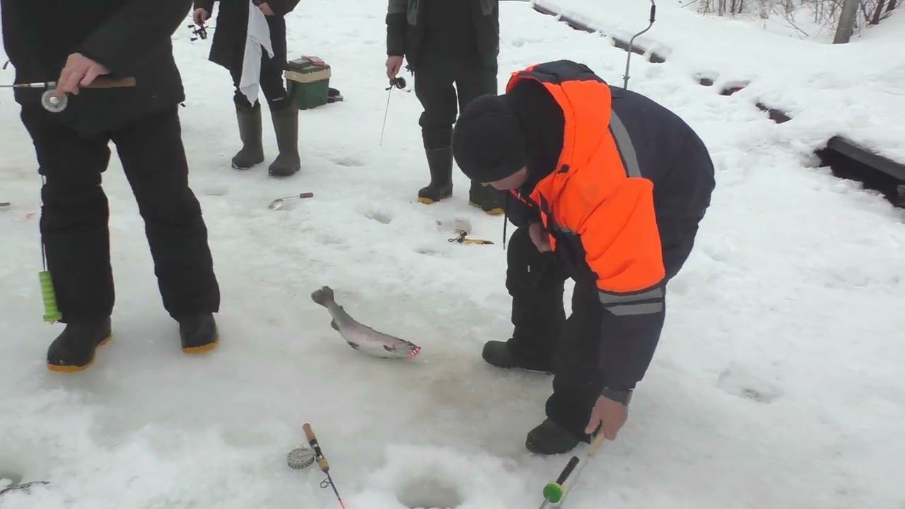 Р.Д. Юрлово. ВИП зона. смотреть онлайн