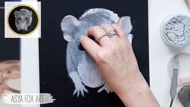 Как нарисовать крыску сухой пастелью. Любимый питомец смотреть онлайн