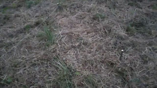 Уличная печь. План. смотреть онлайн