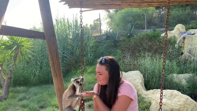 Африка Тунис 2019 смотреть онлайн