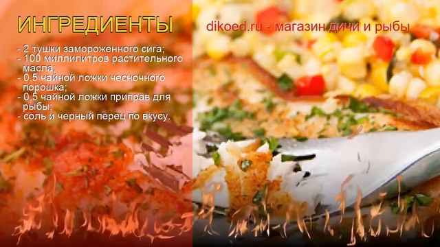 Наука о Животных и их Поведение