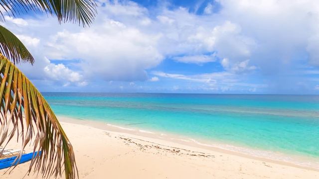 Palm Calm: 3 Hour of Tropical Beaches, Ocean Sounds & Island Drone Footage (4K Video) смотреть онлайн