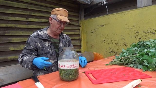 ЗАГОТОВКА ЧИСТОТЕЛА смотреть онлайн