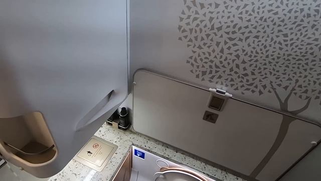 EMIRATES BRAND NEW BOEING 777-300ER (ECONOMY) | Dubai - Nice