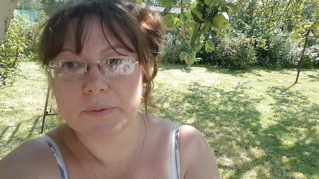 Рой пчел прилетел на дачу / Собрала ежевику и яблоки смотреть онлайн