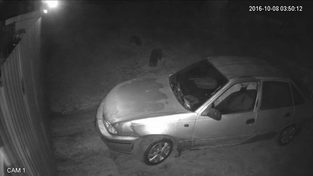 Кандидат на премию Дарвина-1 смотреть онлайн