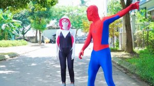 TEAM SPIDER-MAN If WHITE SPIDER-MAN VS SQUID GAME | Helping White Spider Girl ( Live Action )