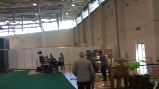 ВДНХ, Москва ,Выставка цветов 2018. смотреть онлайн