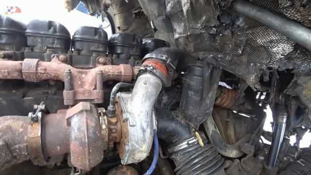 Давайте нам, мы продадим ваш хлам смотреть онлайн