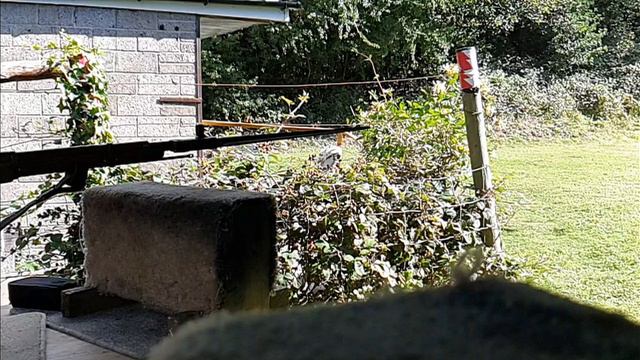 7 62 X 54 Mosin Nagant Carbine