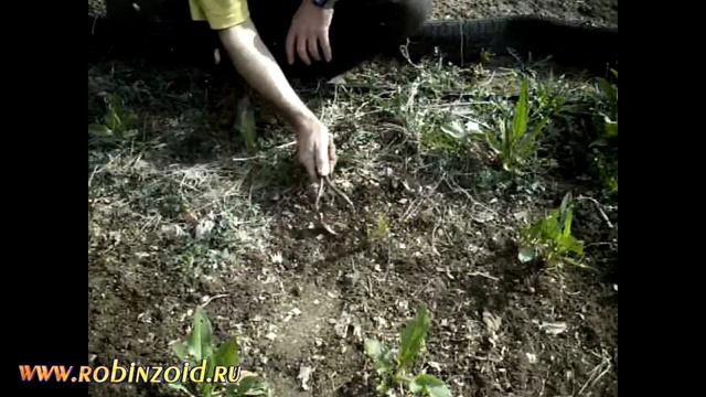 Плоскорез для грядок смотреть онлайн