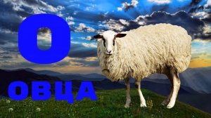 Алфавит для детей | Животные