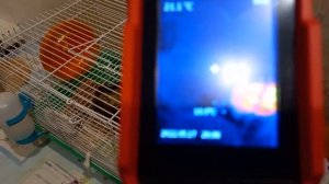 Бюджетный тепловизор UNI-T UTi120S