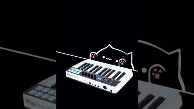 Cat piano смотреть онлайн