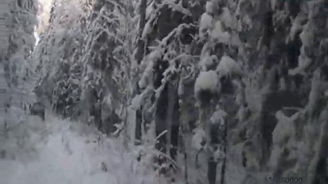 Бесов камень Зимняя дорога в лесу смотреть онлайн