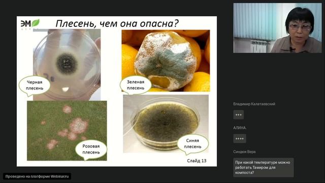 Избавляемся от плесени (методы) смотреть онлайн