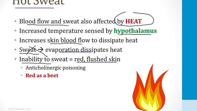 Neurology - 4. Autonomic Nervous System - 1.Autonomic Nervous System Atf
