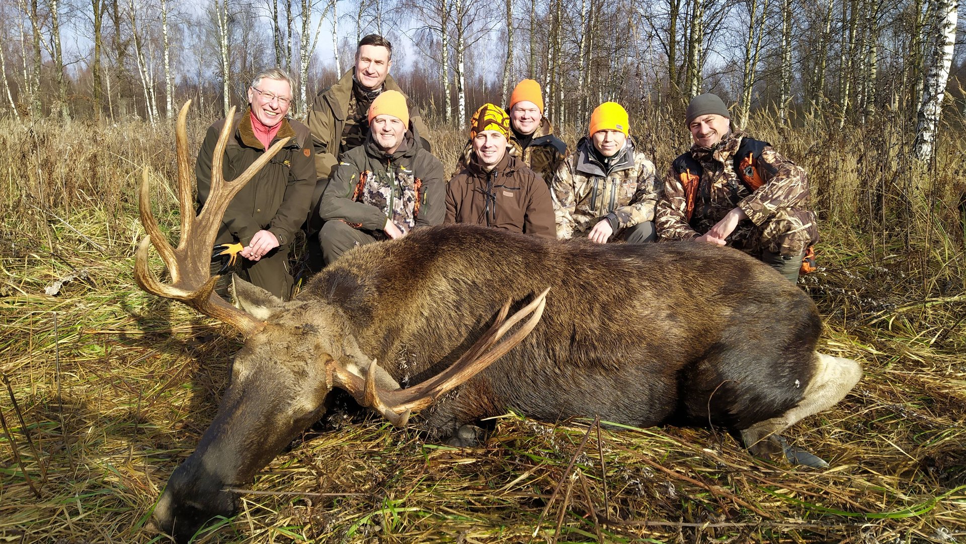 Охота на лося. УДАЧА В КАДРЕ! Мне снова повезло там... смотреть онлайн
