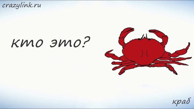 Морские животные на английском смотреть онлайн