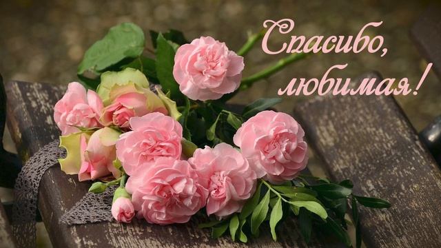 Спасибо, любимая! смотреть онлайн