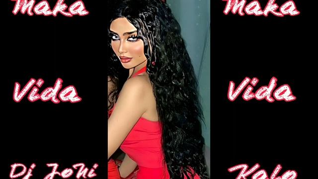 Maka Vida Remix Flamenco 2023 Dj Joni Kalo смотреть онлайн