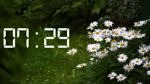 15 Minute Timer || Relaxing Rain Sounds смотреть онлайн