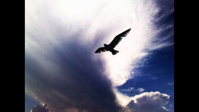 Краткое содержание Песня о Соколе. Горький М. Пересказ за 4 минуты смотреть онлайн