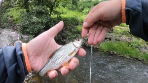 Мормышинг с Mifine GHOST BLADE. Призрачный клинок в деле