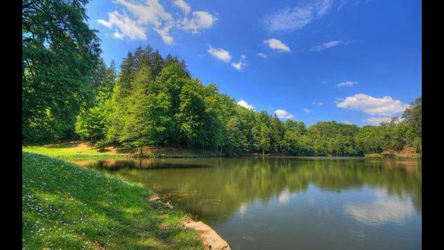 Иммунитет планета Земля 4 смотреть онлайн