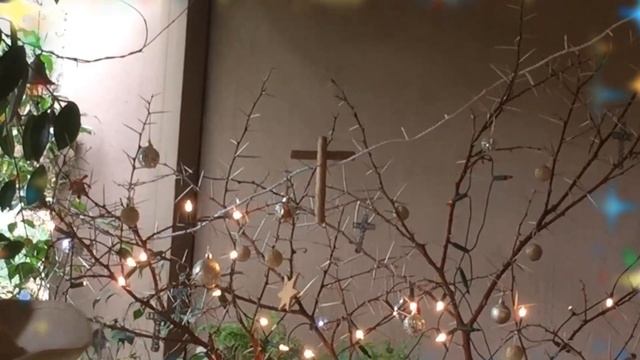 The Sweet Thorn Christmas Tree смотреть онлайн