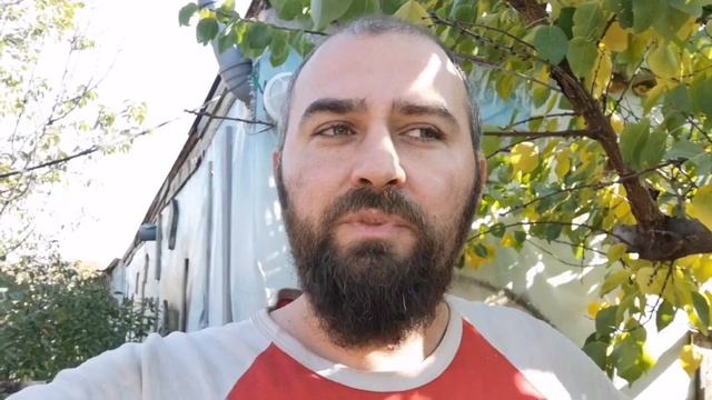 Яйца фабричные и деревенские фермерские В чём отличие смотреть онлайн