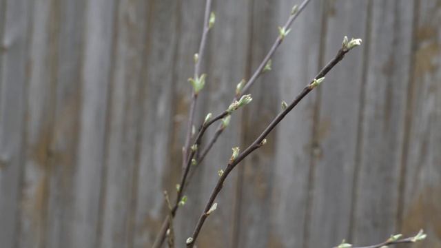 Строительная Честность