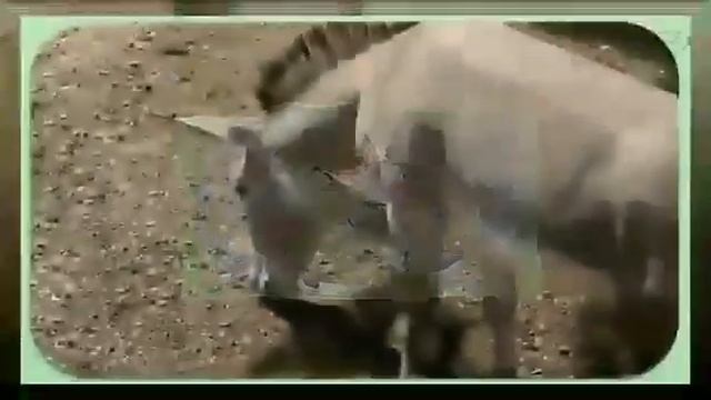 Притча про осла смотреть онлайн