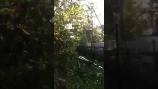 Забор из сетки Гиттер смотреть онлайн
