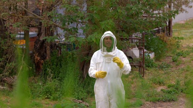 La Sciamatura delle nostre api e il conflitto tra due Api Regine смотреть онлайн