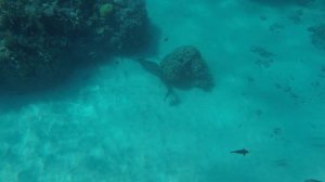 Hilton Marsa Alam Nubian Resort 2021 / Хилтон Марса Алам Нубиан Резорт 2021