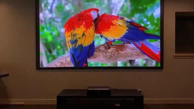 Telon PET Crystal 4k Home Theater Fixed Frame Ultra Short Throw Ust Alr Screen Ambient Light Reject