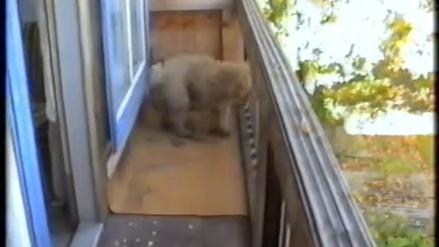 Россия, Свердловская область, город Верхотурье, сентябрь 1998 года смотреть онлайн