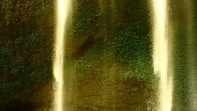 Wise Hand - Manschoud смотреть онлайн